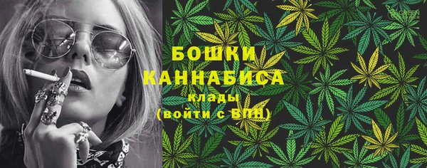 крисы Зеленодольск