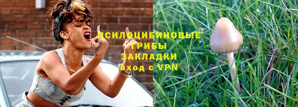 крисы Зеленодольск