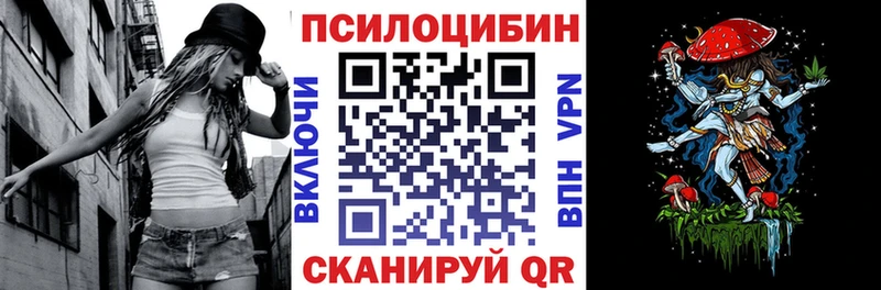 Купить где  Лянтор  Псилоцибиновые грибы Cubensis 
